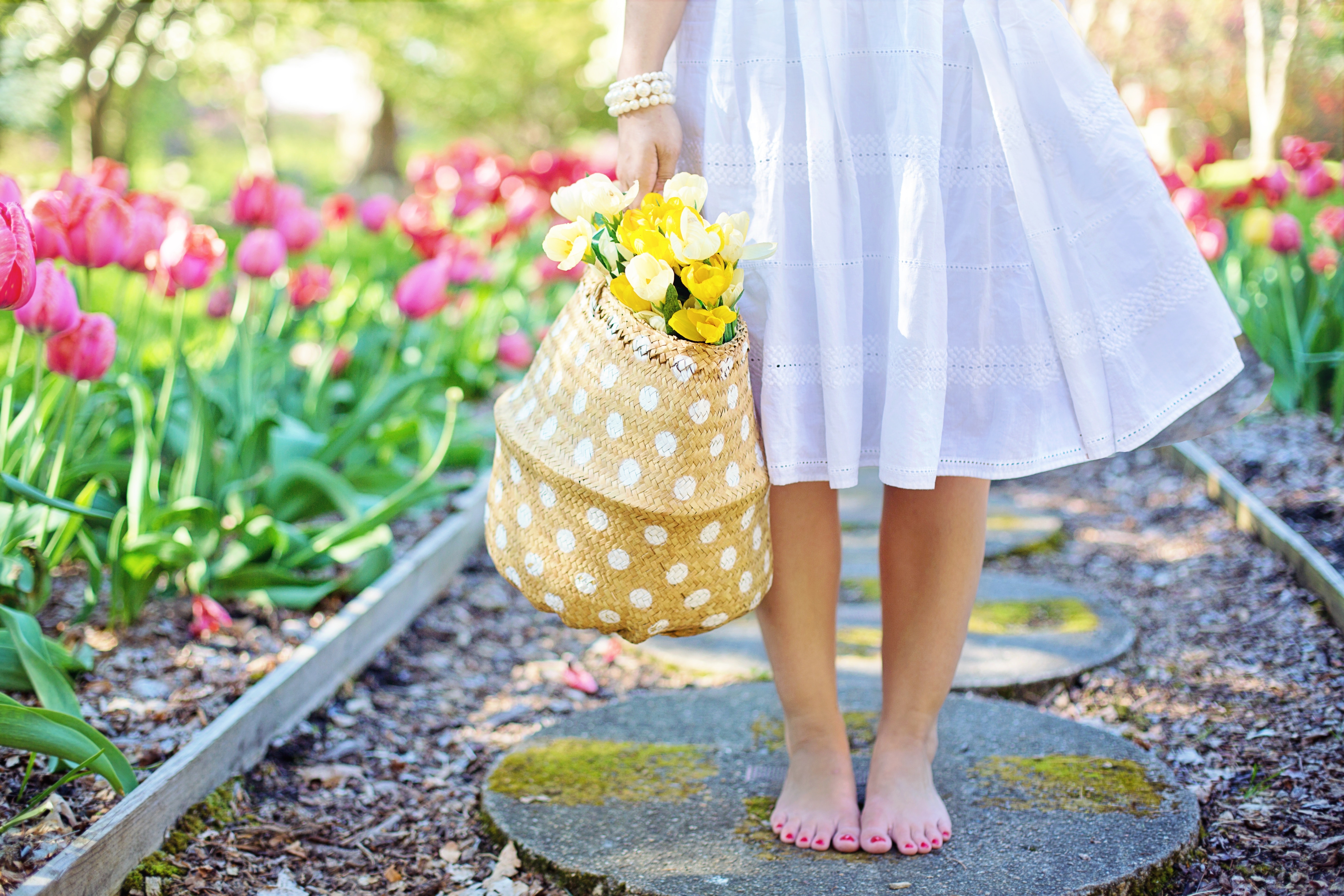 barefoot-blooming-blossoms-413707